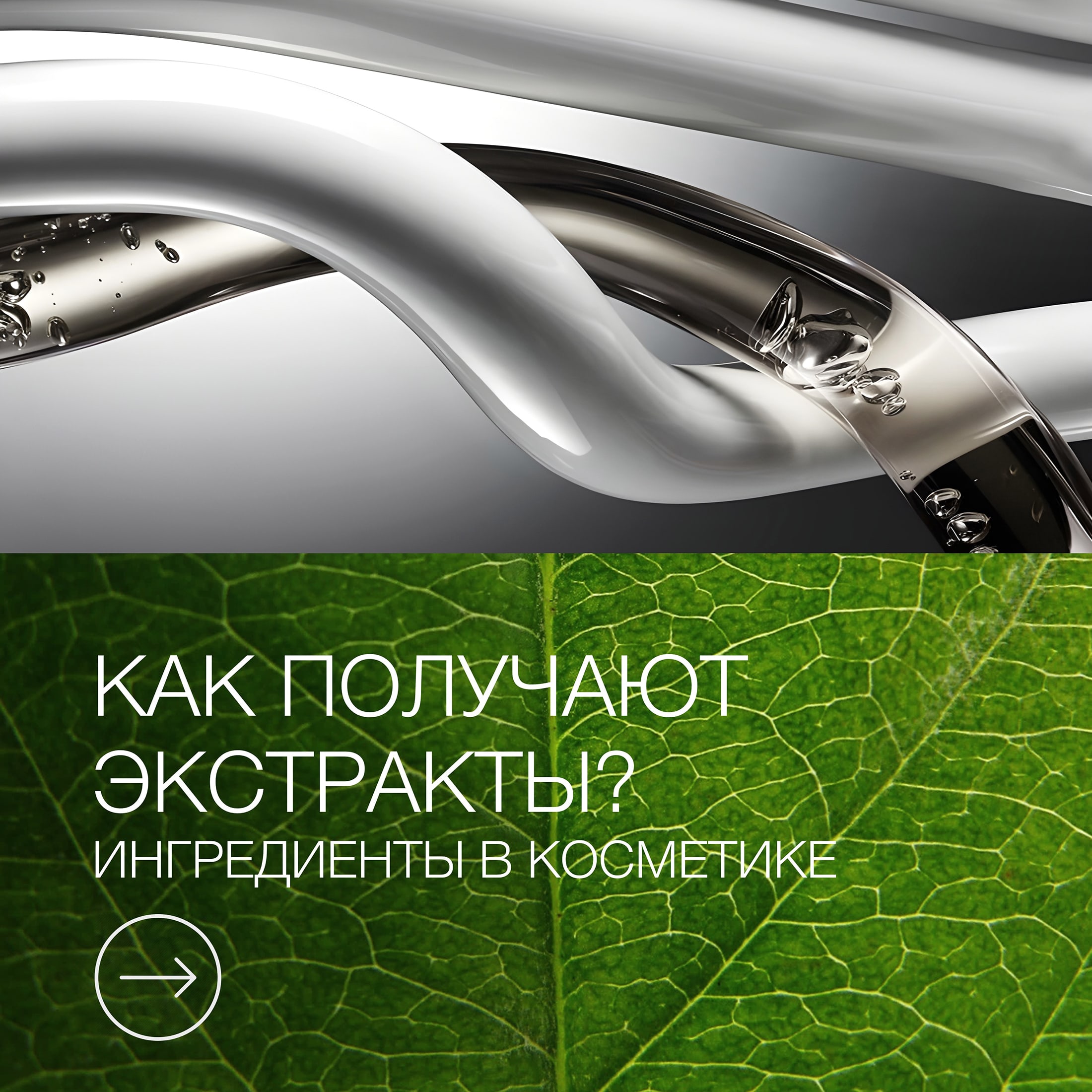 Пост способы получения экстрактов 2.jpg